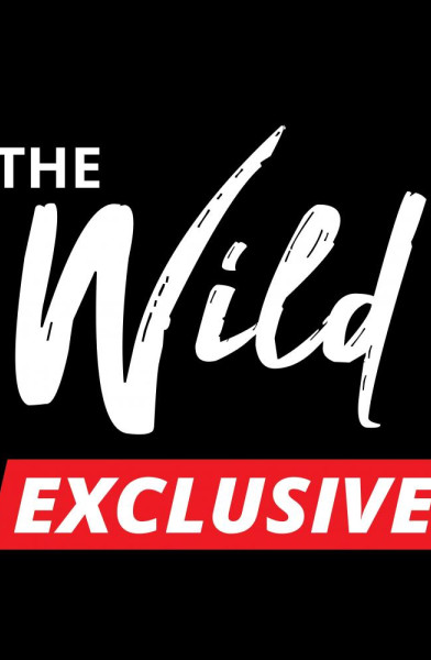 The Wild Exclusive (VIP)