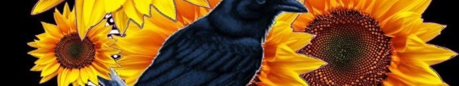 Background Crow