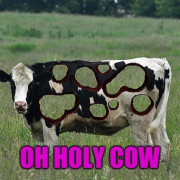 URHOLYCOW