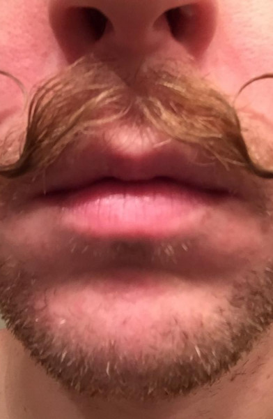 Moustacheo