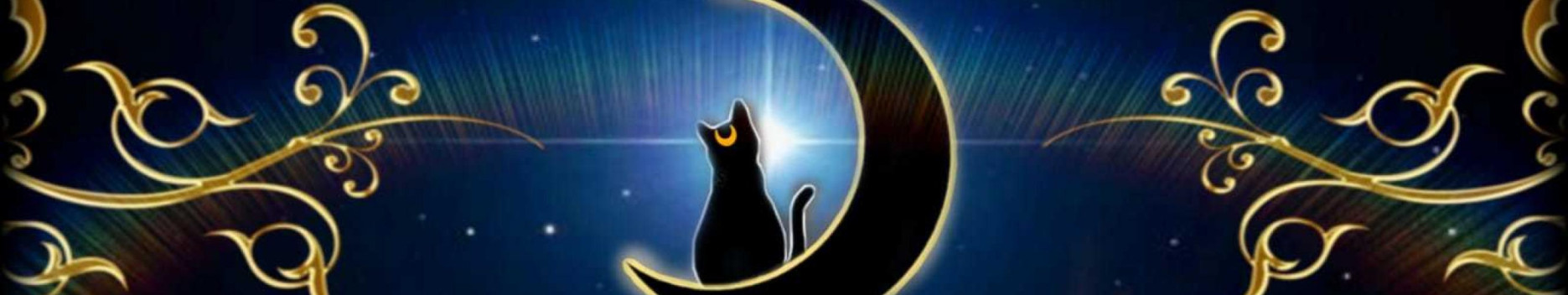 Background Catmoon