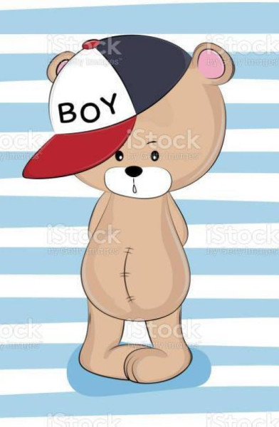 Bearboy27