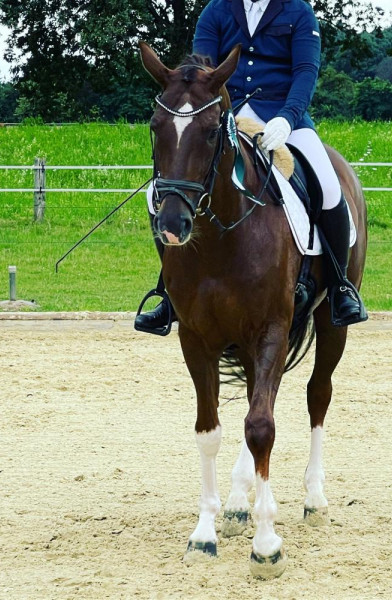 Equestrian Twinkle Boy