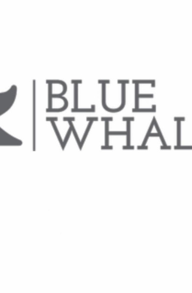 Blue Whale