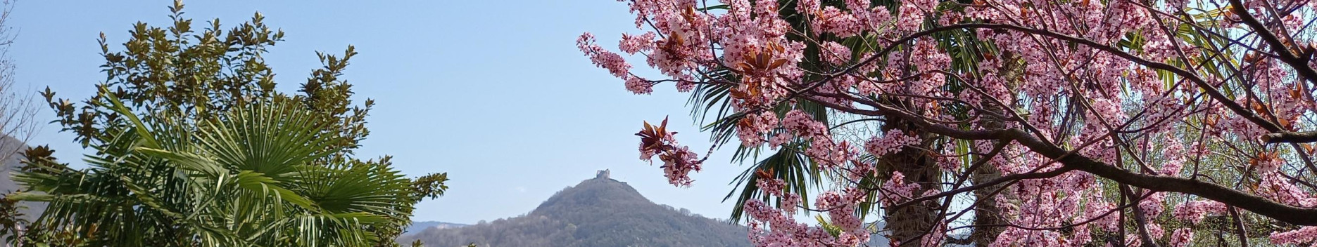 Background Life and MtBike in Südtirol-SouthTirol