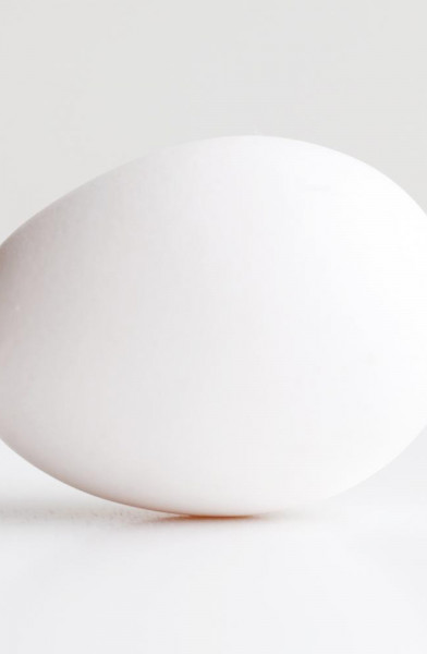 An Egg