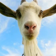 The POV Goat