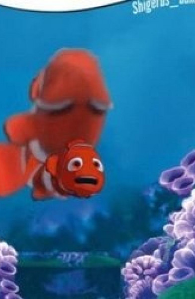 Finding Nemo